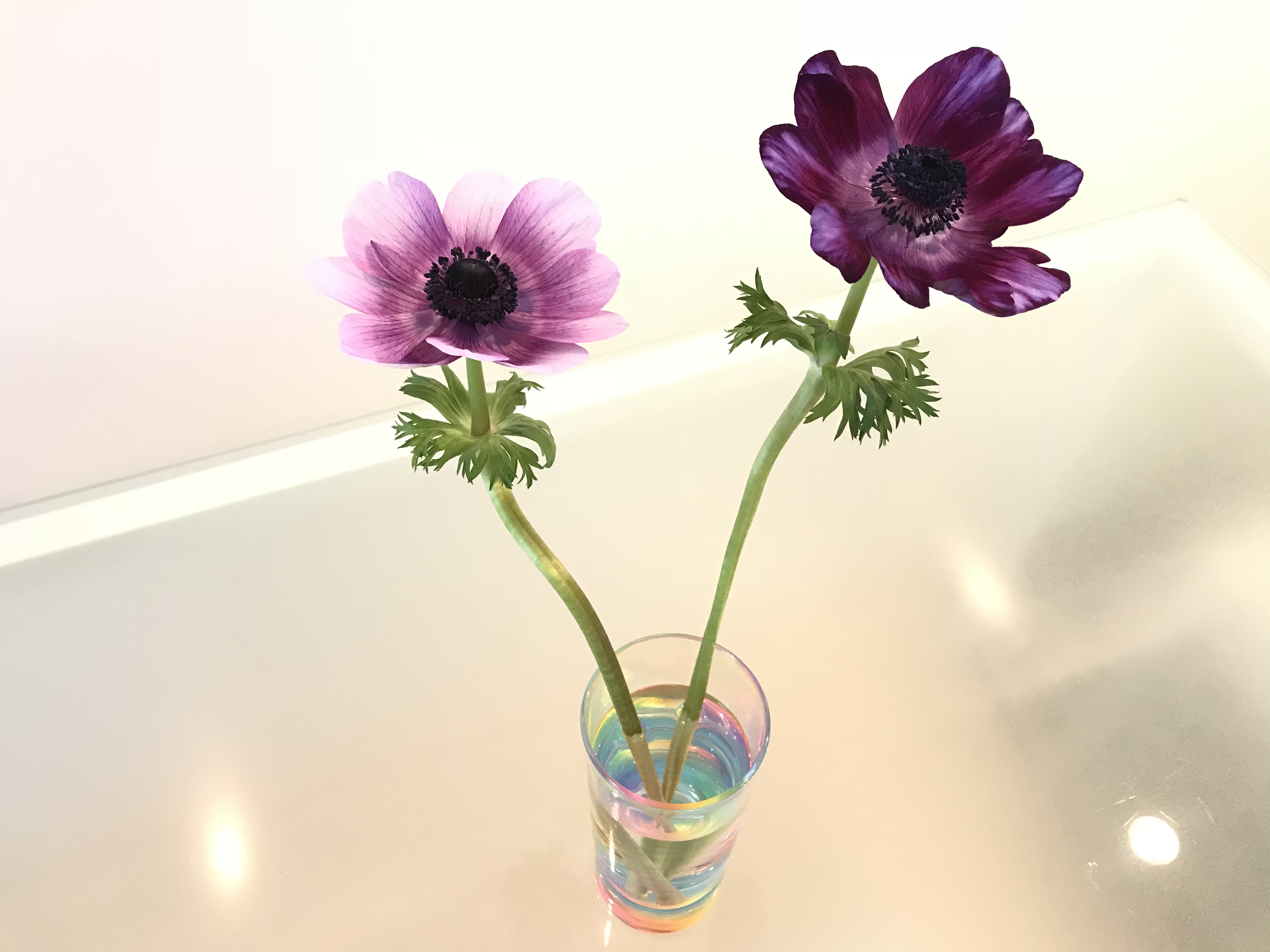 HSPさんのセラピースクール